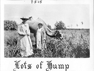 Lots of Hump,  Vilas Park, Madison, Wisconsin,  July 5, 1915.